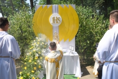 19.